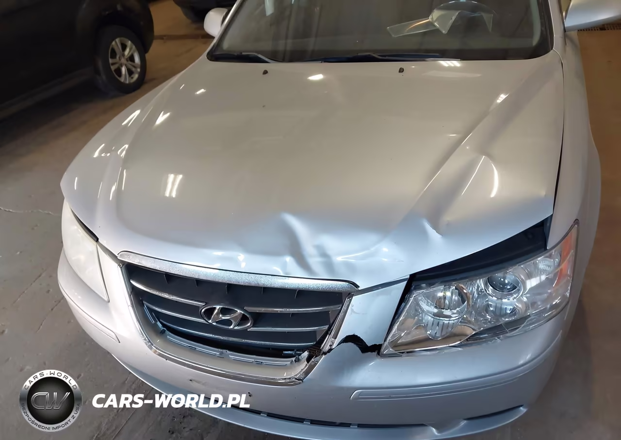 2010 Hyundai Sonata Gls VIN:5NPET4AC2AH641488 - 6