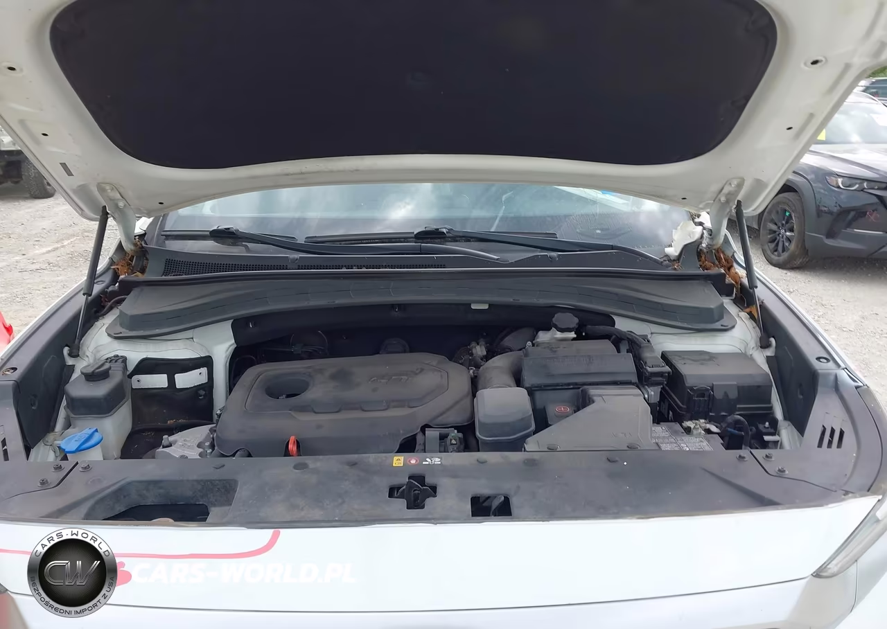 2020 Hyundai Santa Fe Se VIN:5NMS2CAD8LH179589 - 10