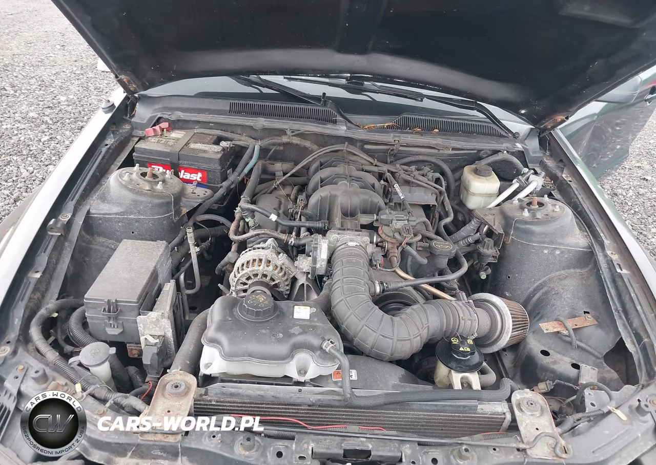 2006 Ford Mustang V6 VIN:1ZVFT80N265176701 - 10