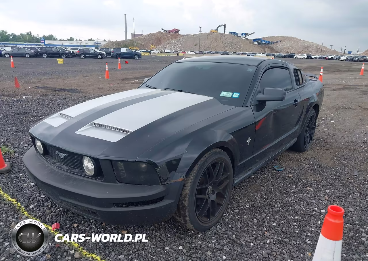 2006 Ford Mustang V6 VIN:1ZVFT80N265176701 - 6