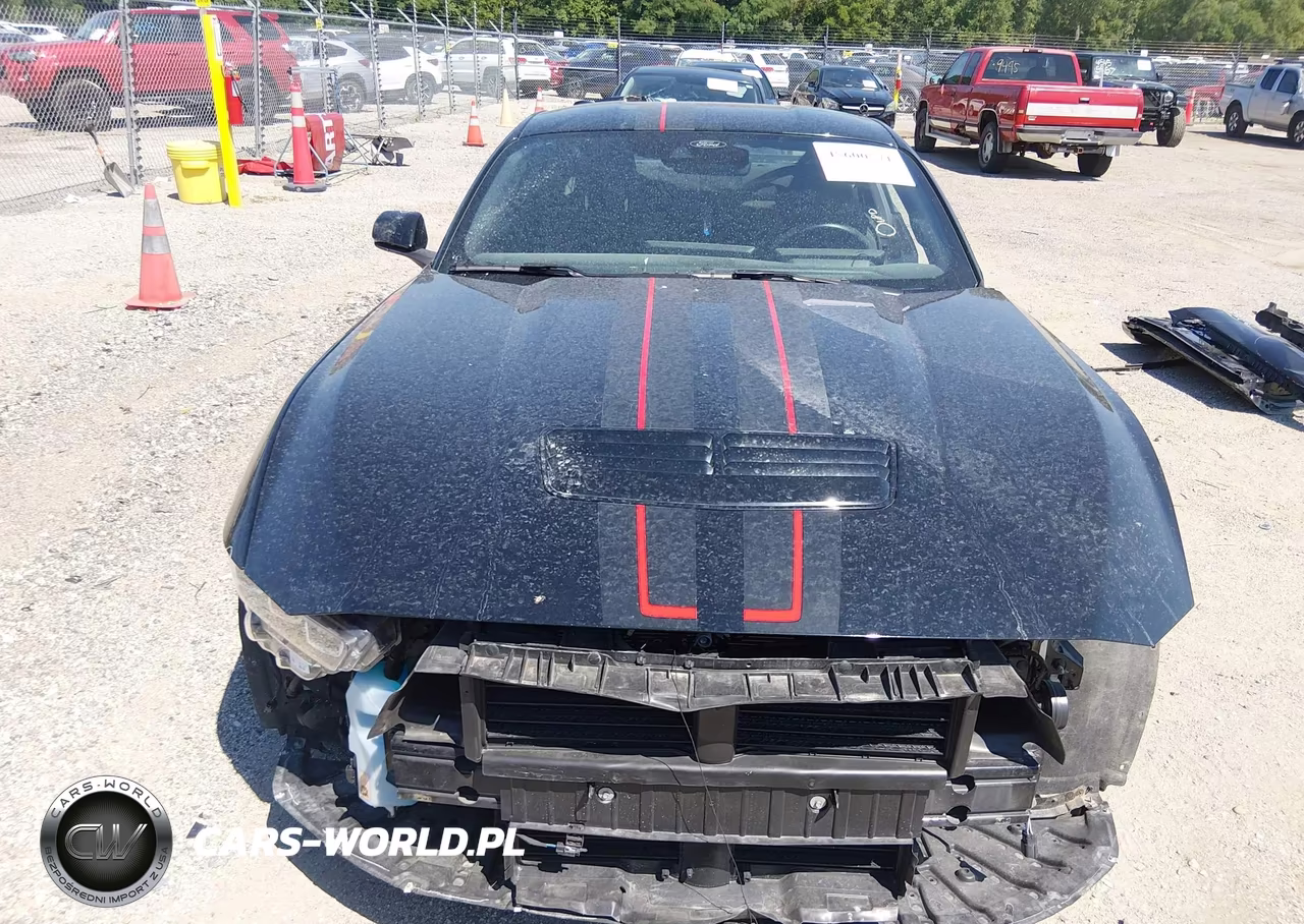2024 Ford Mustang Gt Fastback VIN:1FA6P8CF2R5408428 - 12