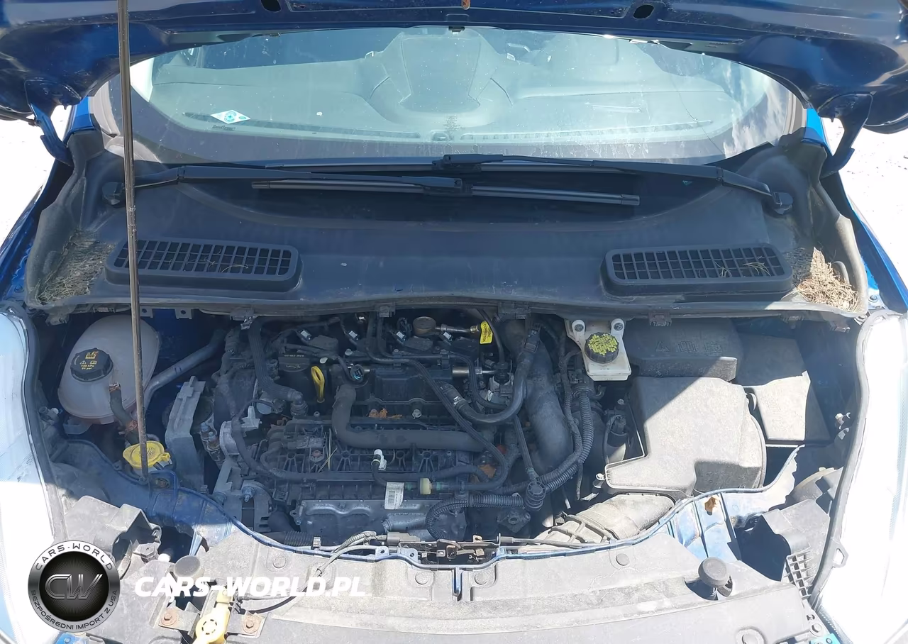 2019 Ford Escape Se VIN:1FMCU9GD8KUA80878 - 10