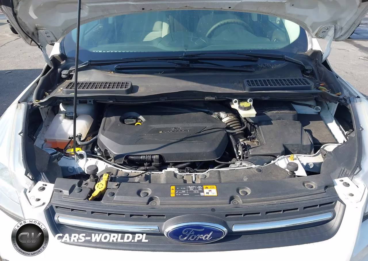 2014 Ford Escape Se VIN:1FMCU0GX0EUD48896 - 10