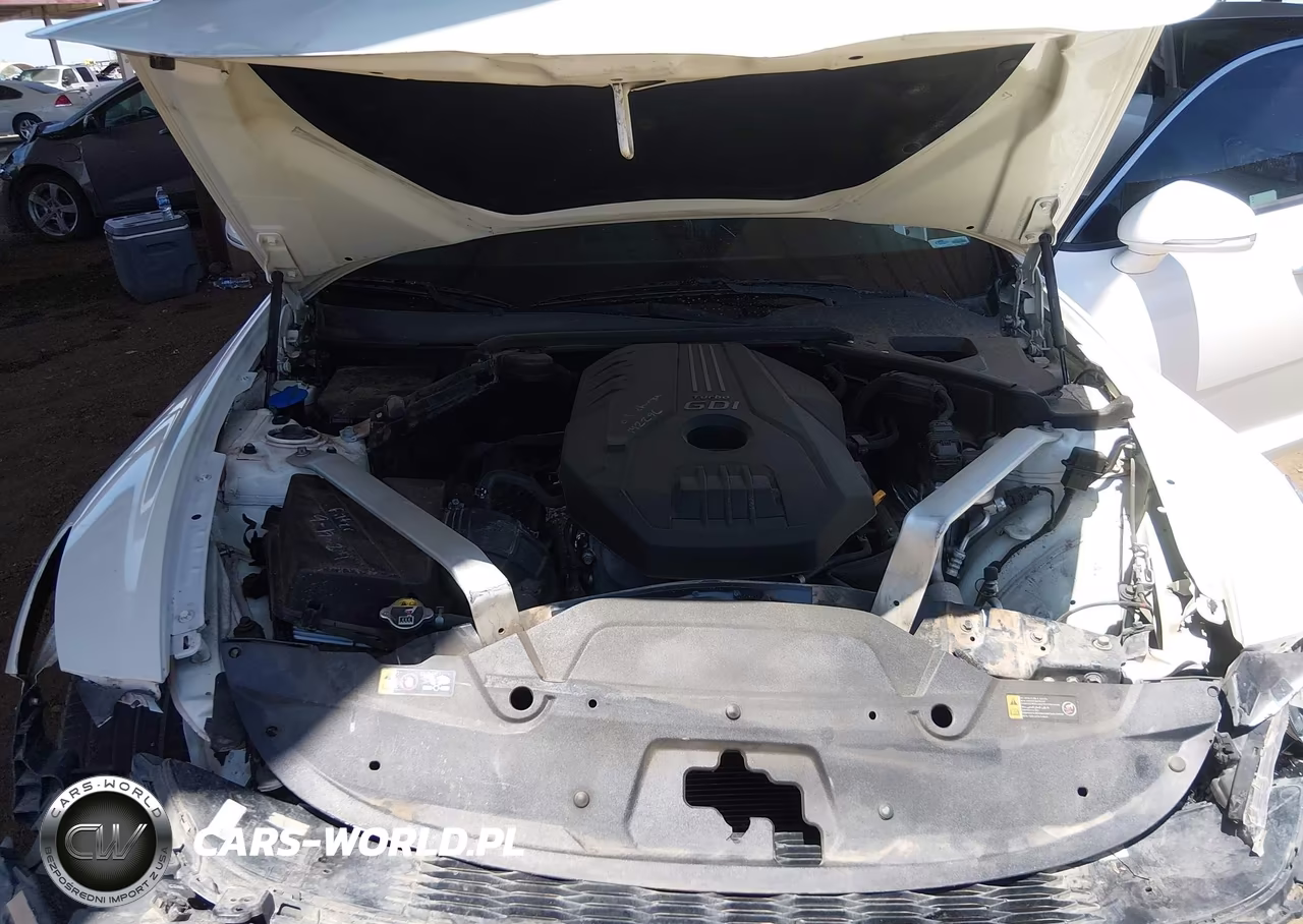 2019 Kia Stinger VIN:KNAE15LA4K6051454 - 10
