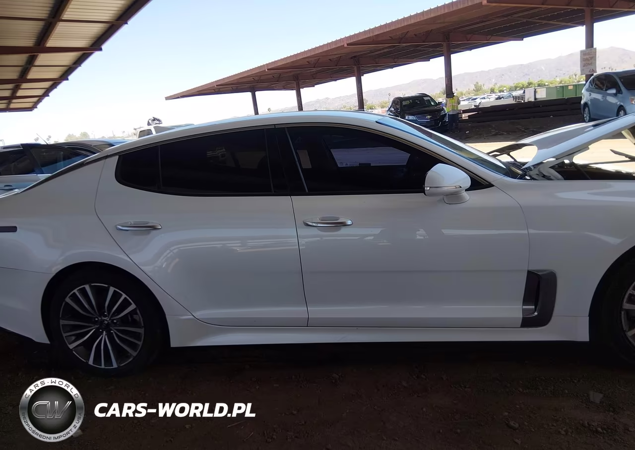 2019 Kia Stinger VIN:KNAE15LA4K6051454 - 13