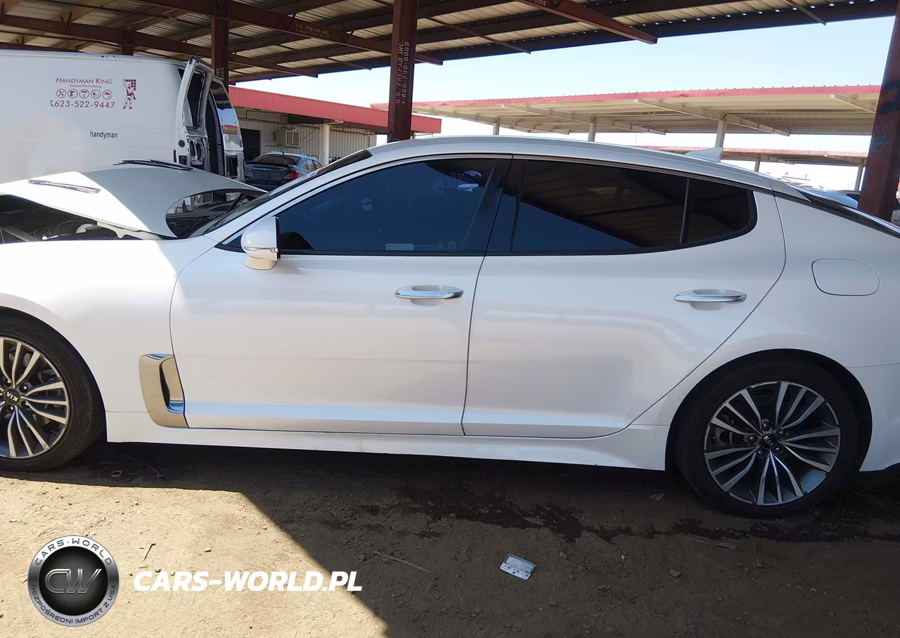 2019 Kia Stinger VIN:KNAE15LA4K6051454 - 14