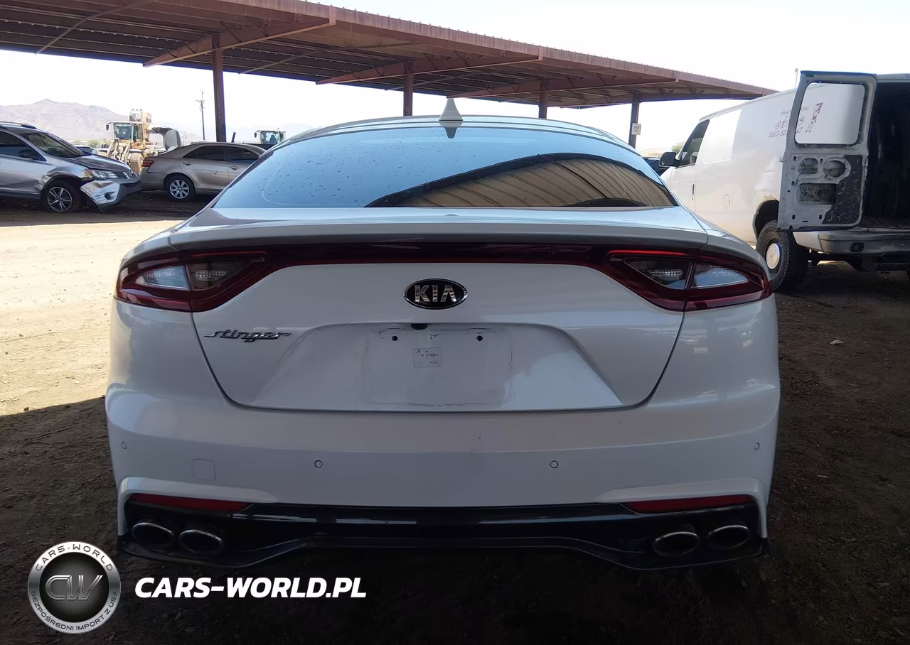 2019 Kia Stinger VIN:KNAE15LA4K6051454 - 16