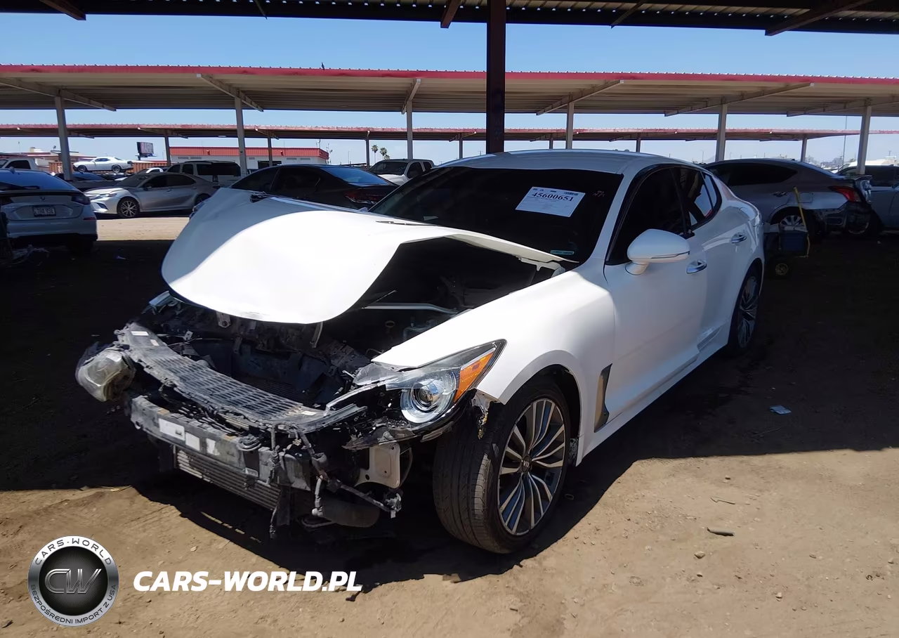 2019 Kia Stinger VIN:KNAE15LA4K6051454 - 2