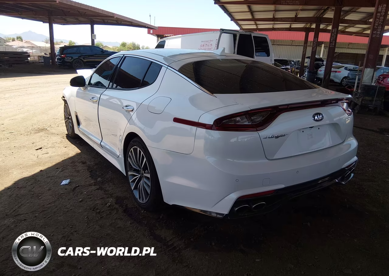 2019 Kia Stinger VIN:KNAE15LA4K6051454 - 3