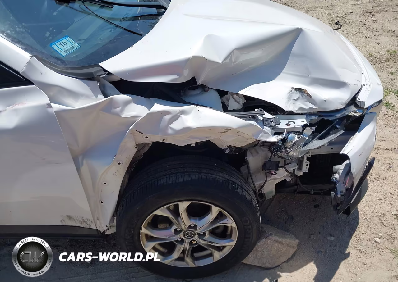 2019 Mazda Cx-3 Sport VIN:JM1DKFB74K1447338 - 21