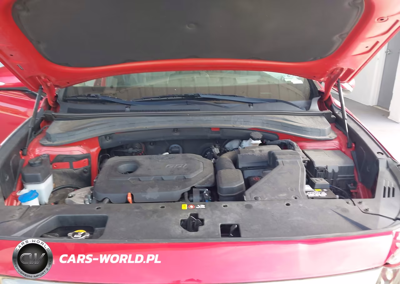 2020 Hyundai Santa Fe Limited VIN:5NMS5CAD2LH229409 - 10