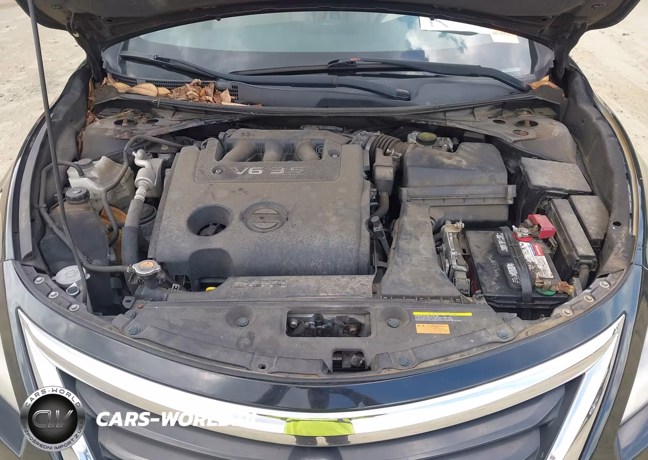 2013 Nissan Altima 3.5 Sl VIN:1N4BL3AP1DN435718 - 10