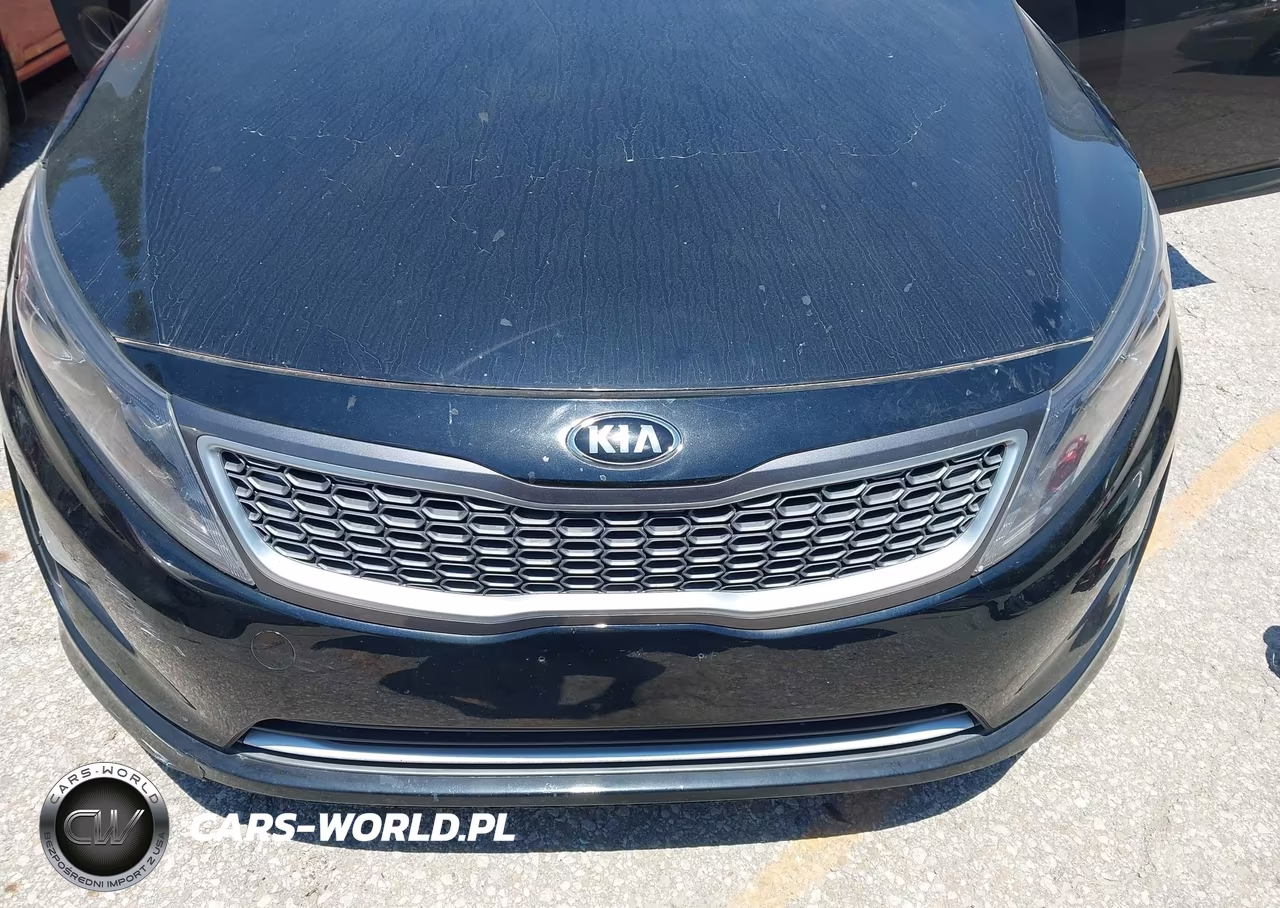 2015 Kia Optima Hybrid VIN:KNAGM4AD1F5078646 - 6