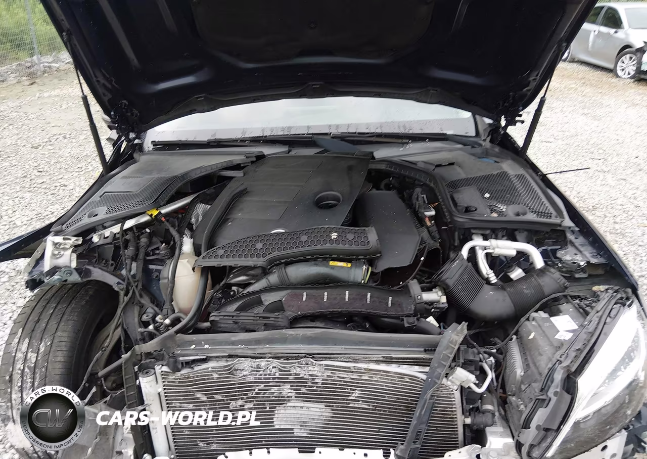 2019 Mercedes-Benz C 300 VIN:WDDWF8DBXKR482001 - 10