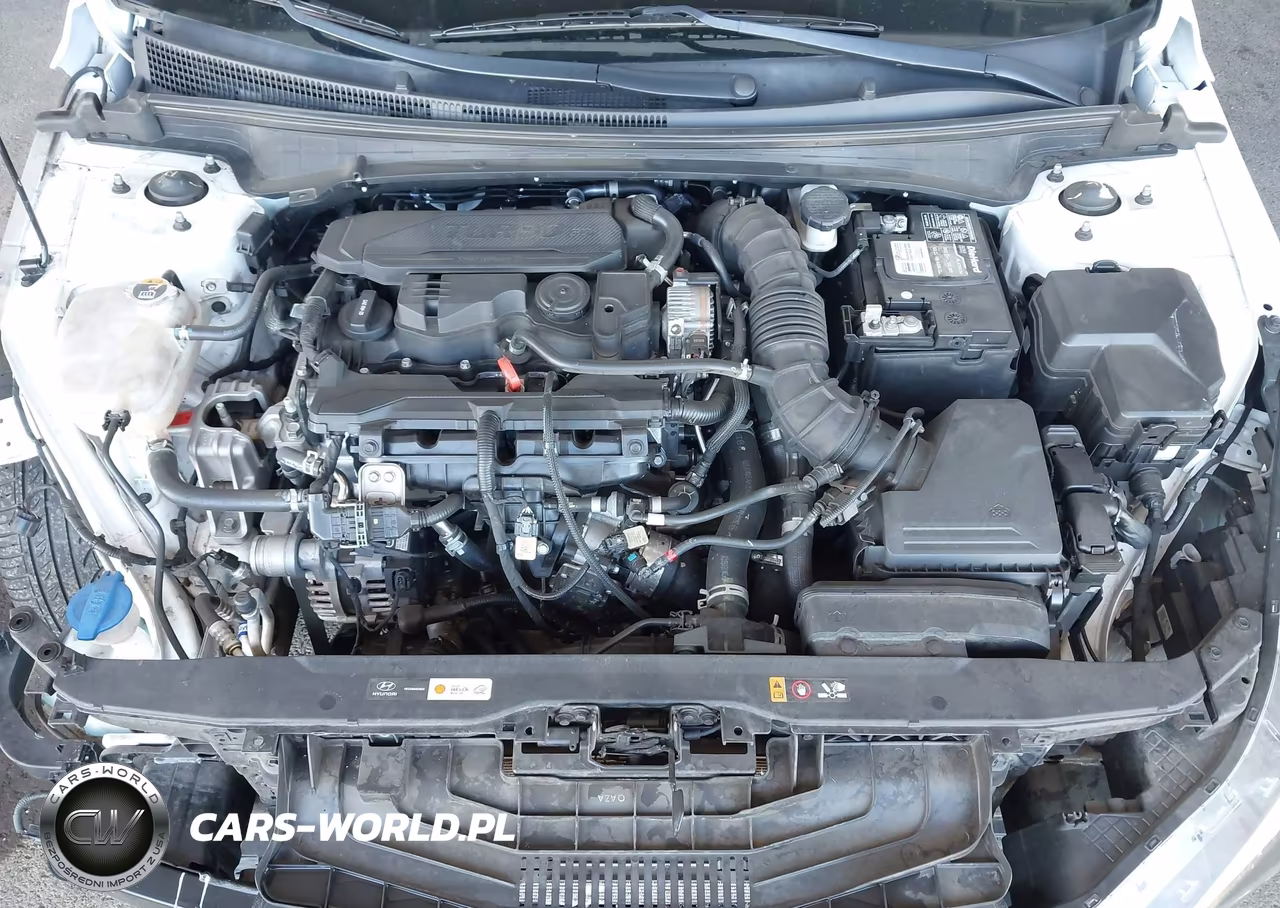 2021 Hyundai Elantra N Line VIN:KMHLR4AF3MU147369 - 10