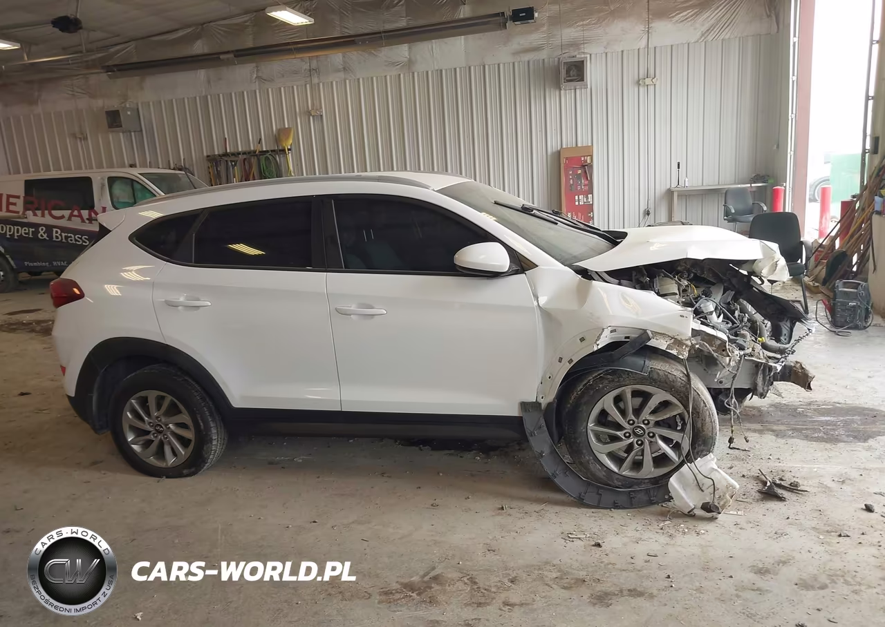 2016 Hyundai Tucson Se VIN:KM8J3CA4XGU023282 - 12