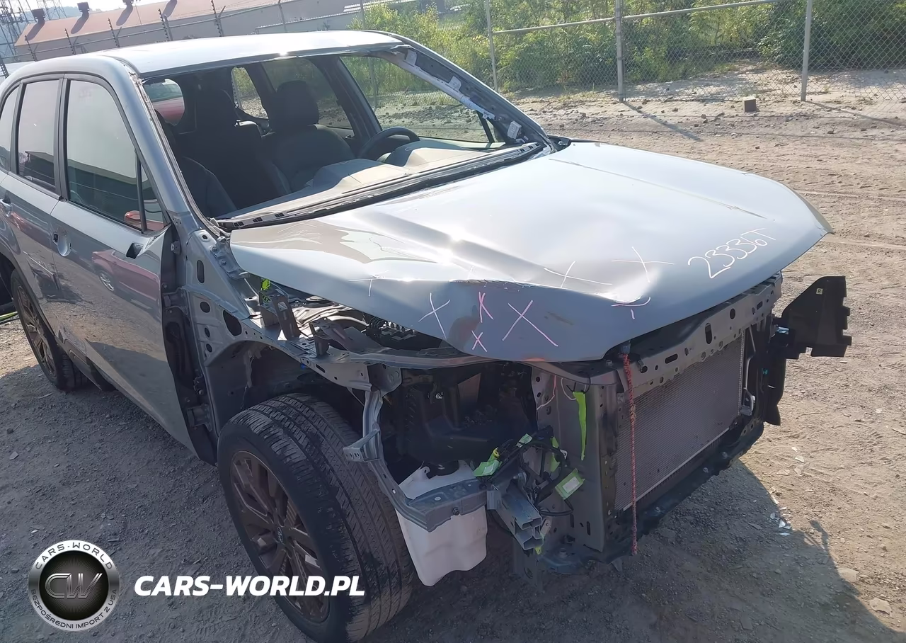 2025 Subaru Forester Sport VIN:JF2SLDHC5SH492455 - 6
