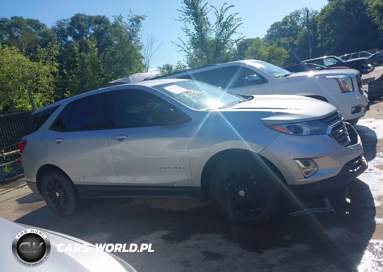 2019 Chevrolet Equinox Ls VIN:2GNAXHEV5K6187515 - 13