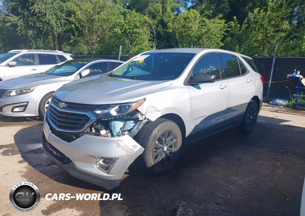 2019 Chevrolet Equinox Ls VIN:2GNAXHEV5K6187515 - 2