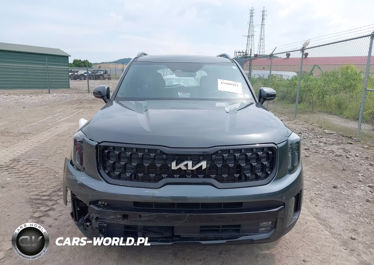 2024 Kia Telluride Sx X-Line VIN:5XYP5DGC7RG413452 - 12