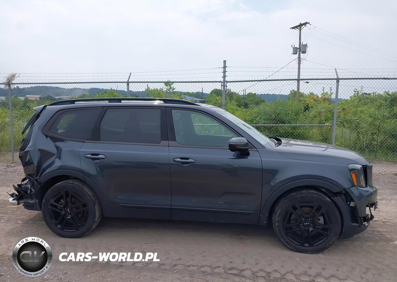 2024 Kia Telluride Sx X-Line VIN:5XYP5DGC7RG413452 - 13