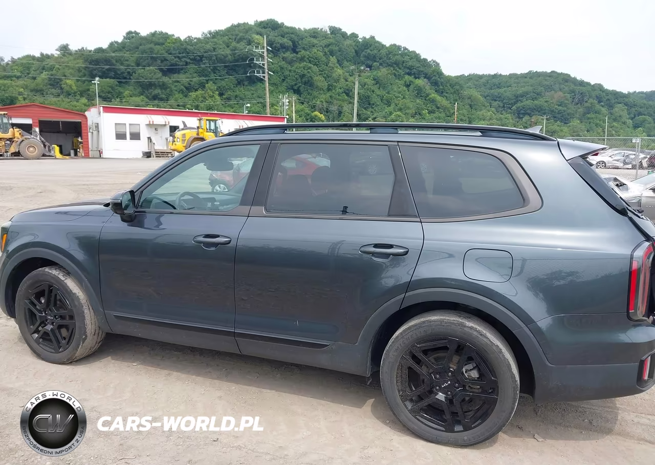 2024 Kia Telluride Sx X-Line VIN:5XYP5DGC7RG413452 - 14