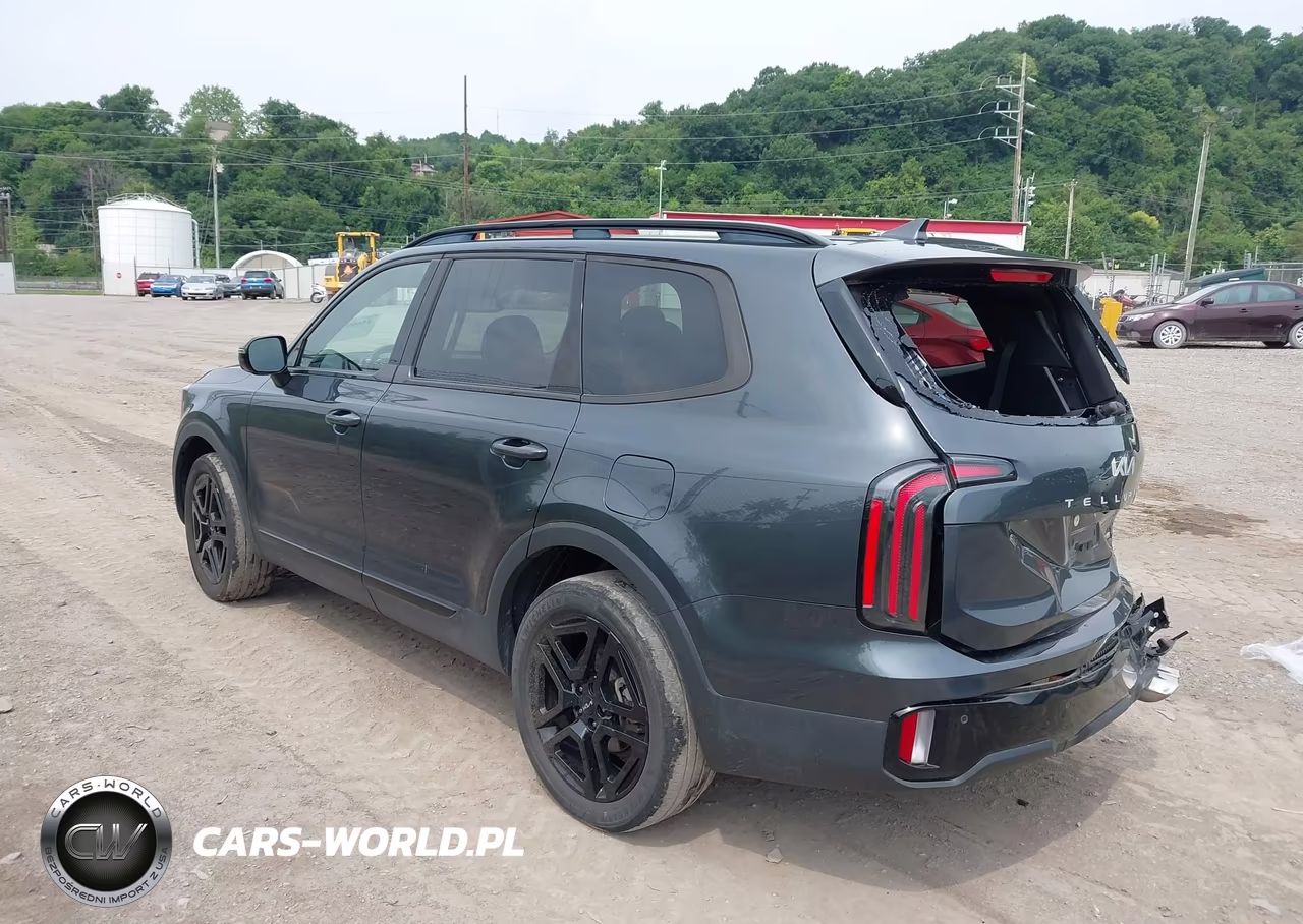 2024 Kia Telluride Sx X-Line VIN:5XYP5DGC7RG413452 - 3