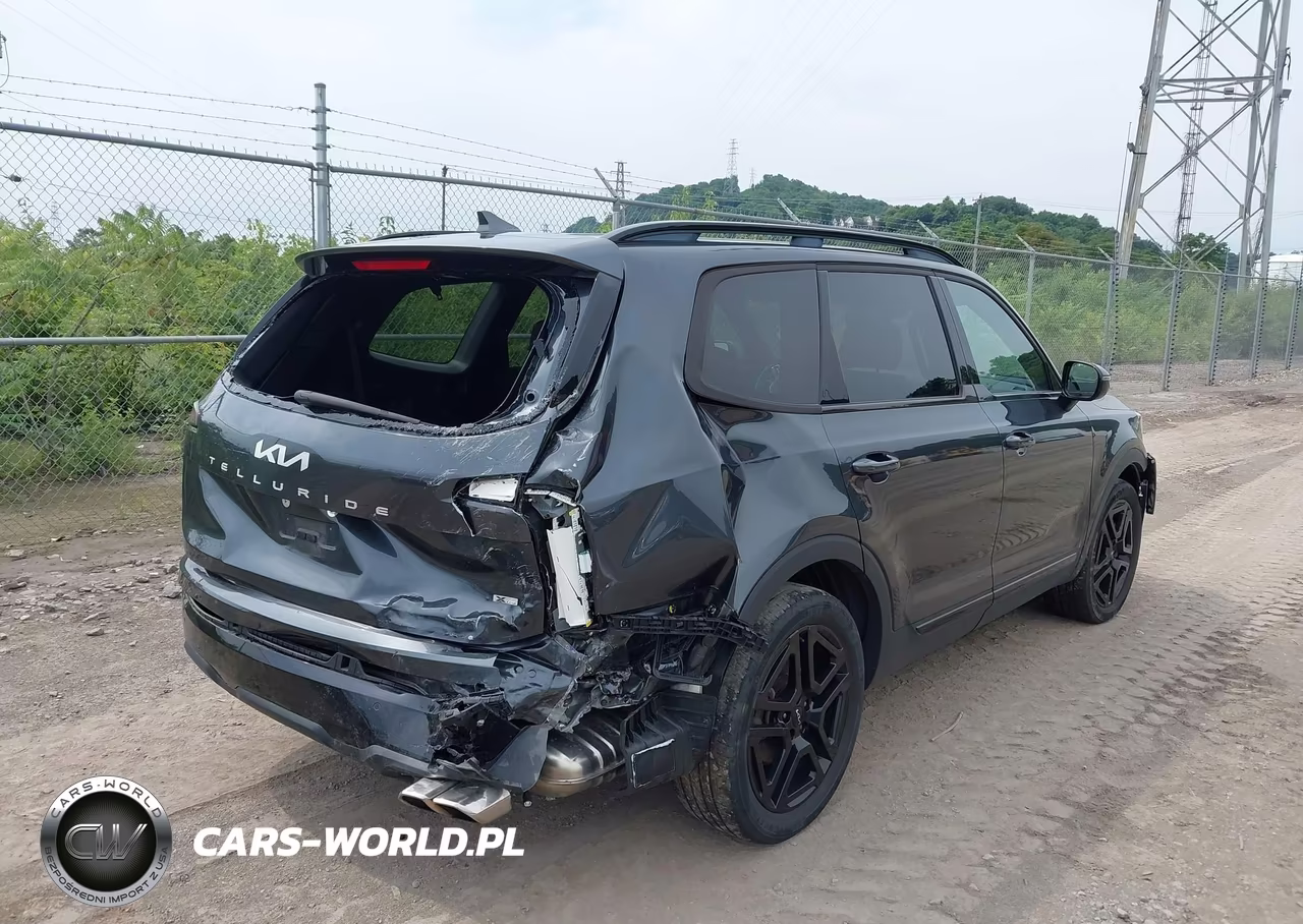 2024 Kia Telluride Sx X-Line VIN:5XYP5DGC7RG413452 - 4