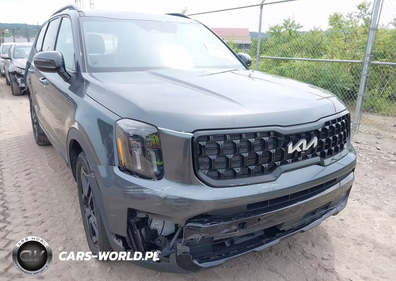 2024 Kia Telluride Sx X-Line VIN:5XYP5DGC7RG413452 - 6