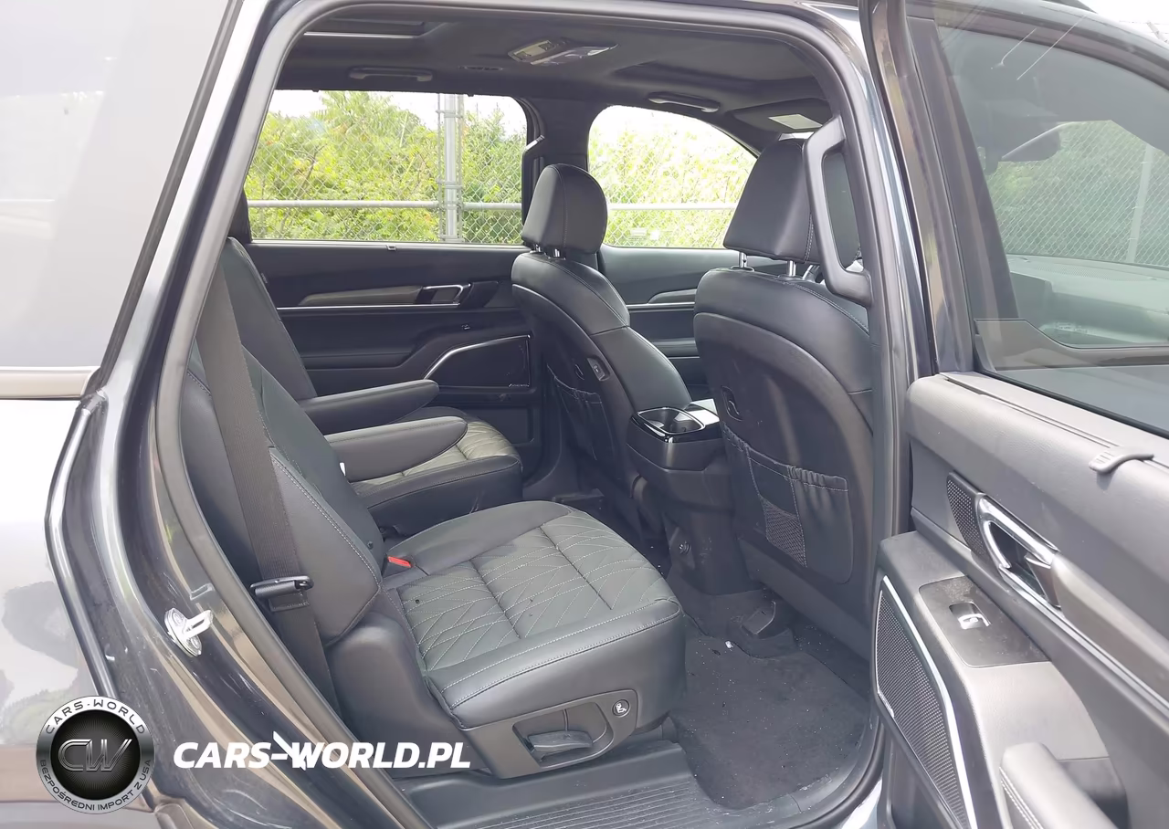 2024 Kia Telluride Sx X-Line VIN:5XYP5DGC7RG413452 - 8