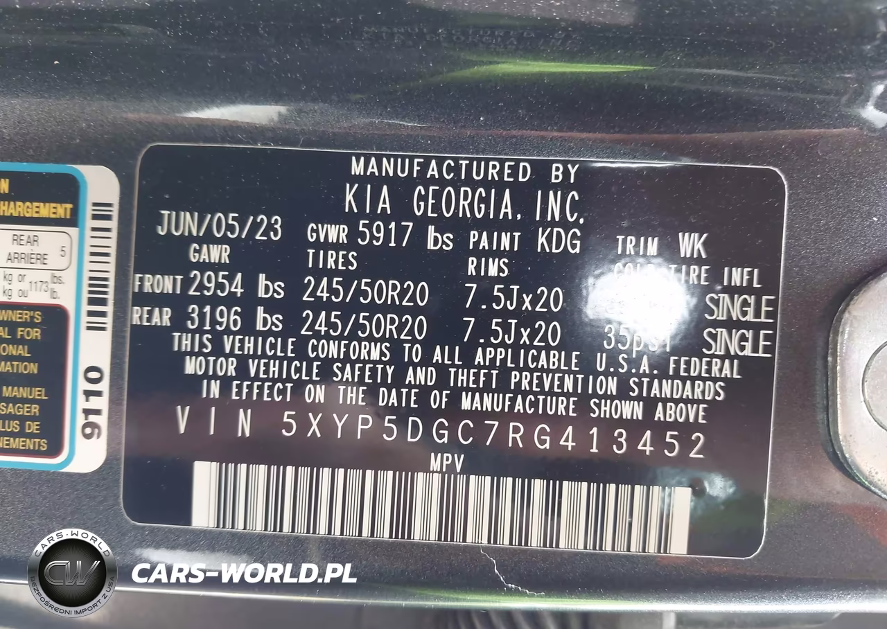 2024 Kia Telluride Sx X-Line VIN:5XYP5DGC7RG413452 - 9