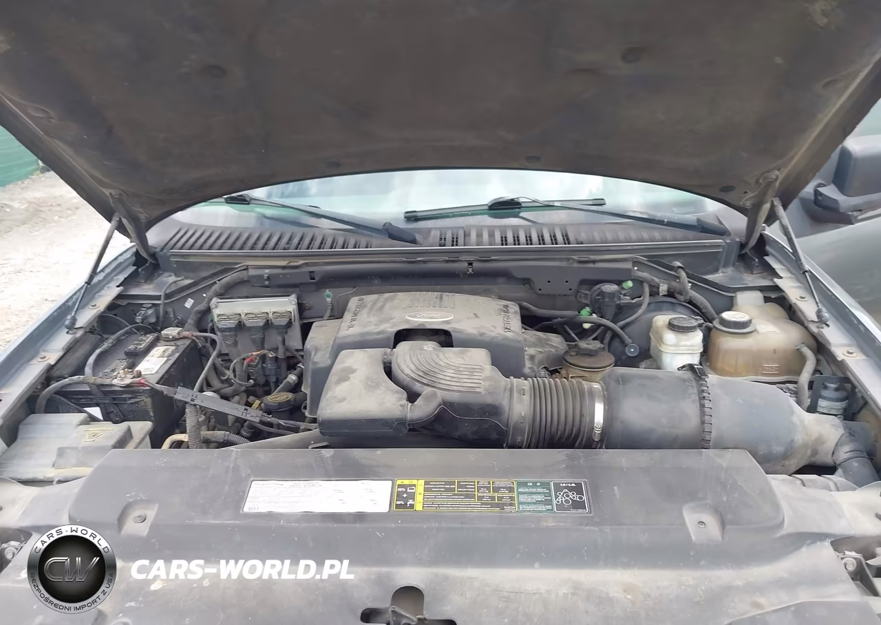 2004 Ford Expedition Nbx-Xlt VIN:1FMPU16L64LB65125 - 10