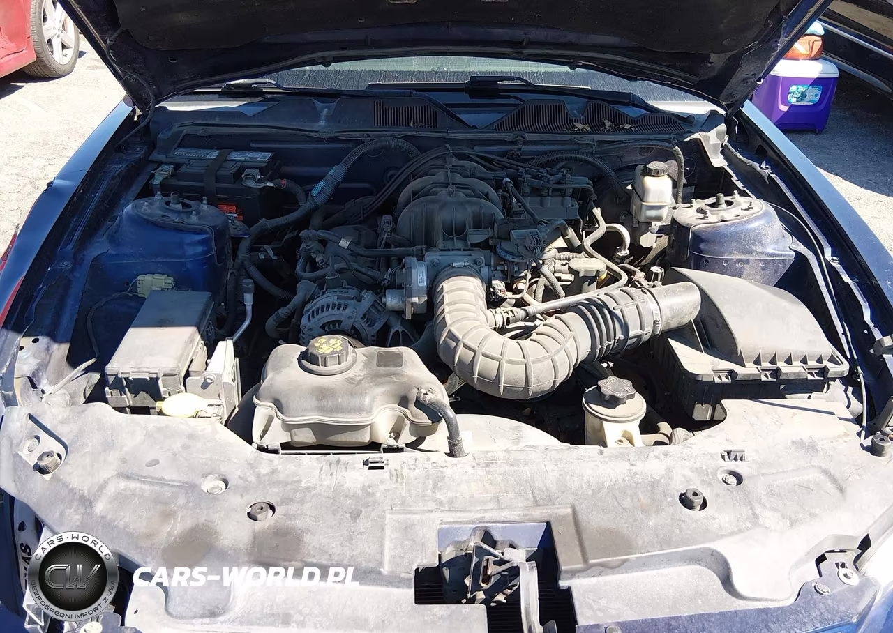 2010 Ford Mustang V6-V6 Premium VIN:1ZVBP8ENXA5167846 - 10