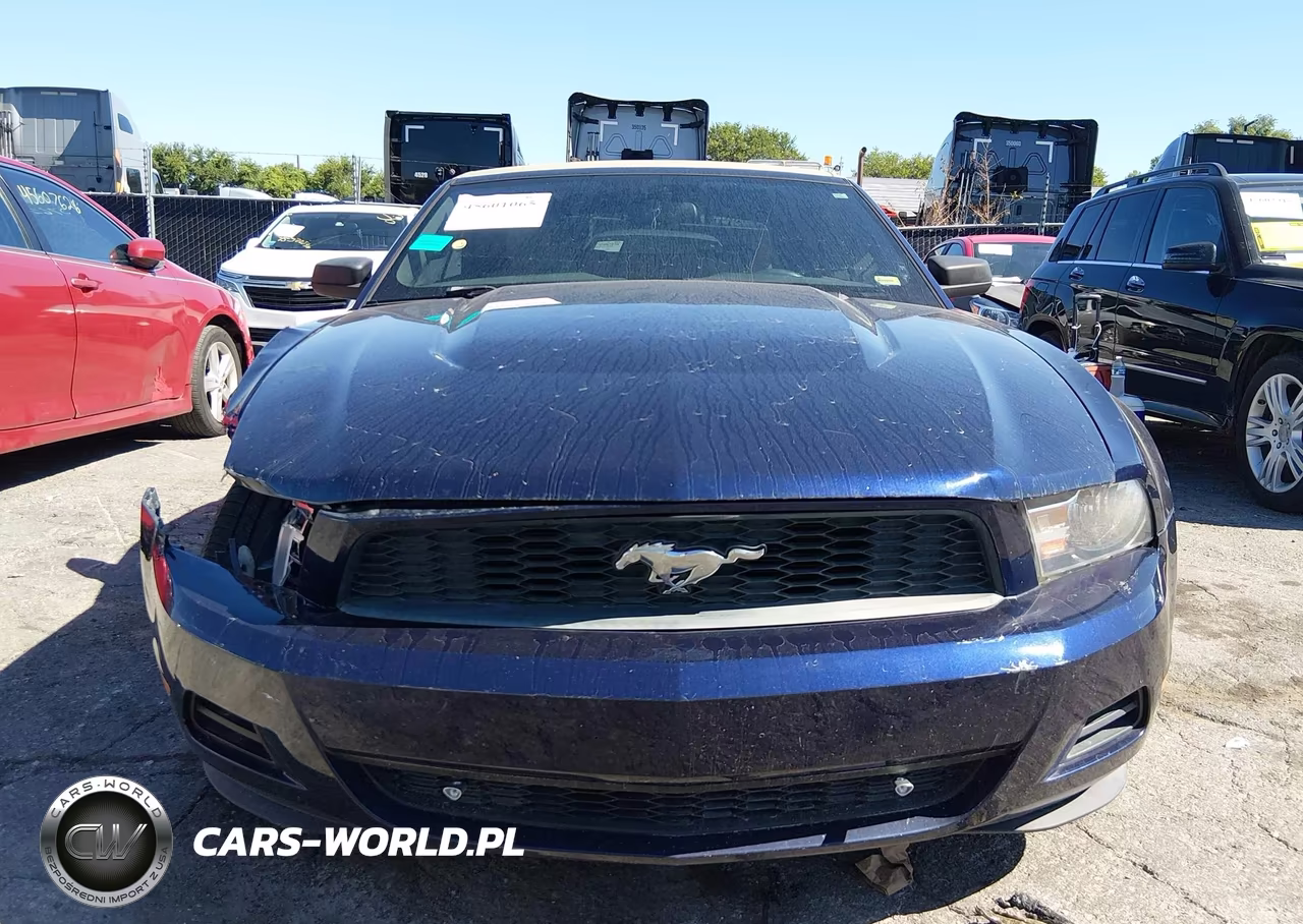 2010 Ford Mustang V6-V6 Premium VIN:1ZVBP8ENXA5167846 - 12