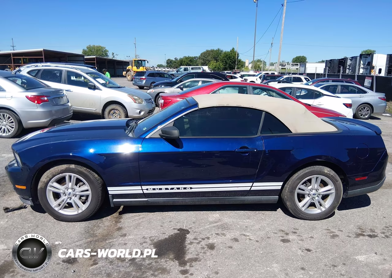 2010 Ford Mustang V6-V6 Premium VIN:1ZVBP8ENXA5167846 - 14