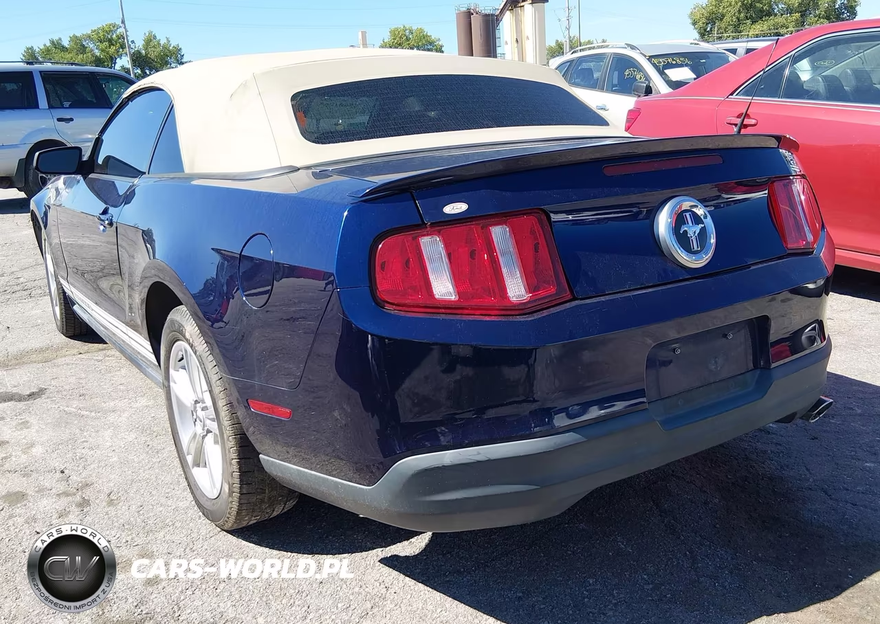2010 Ford Mustang V6-V6 Premium VIN:1ZVBP8ENXA5167846 - 3