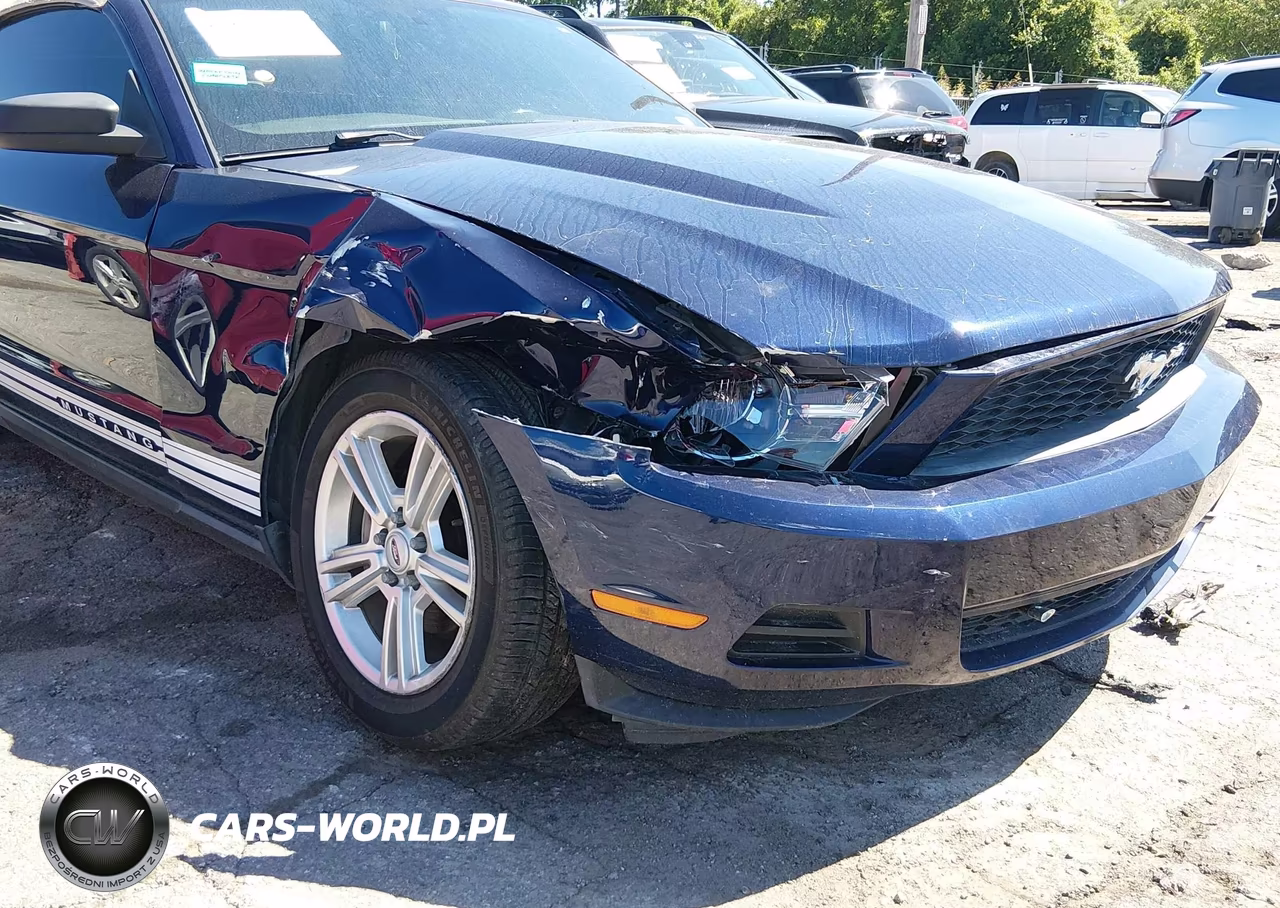 2010 Ford Mustang V6-V6 Premium VIN:1ZVBP8ENXA5167846 - 6