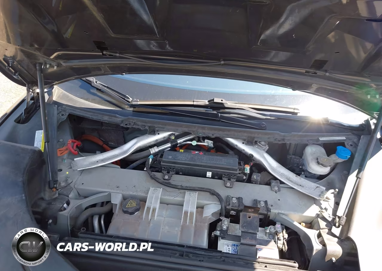 2016 Tesla Model S 60-70-75-85 VIN:5YJSA1E11GF139367 - 10