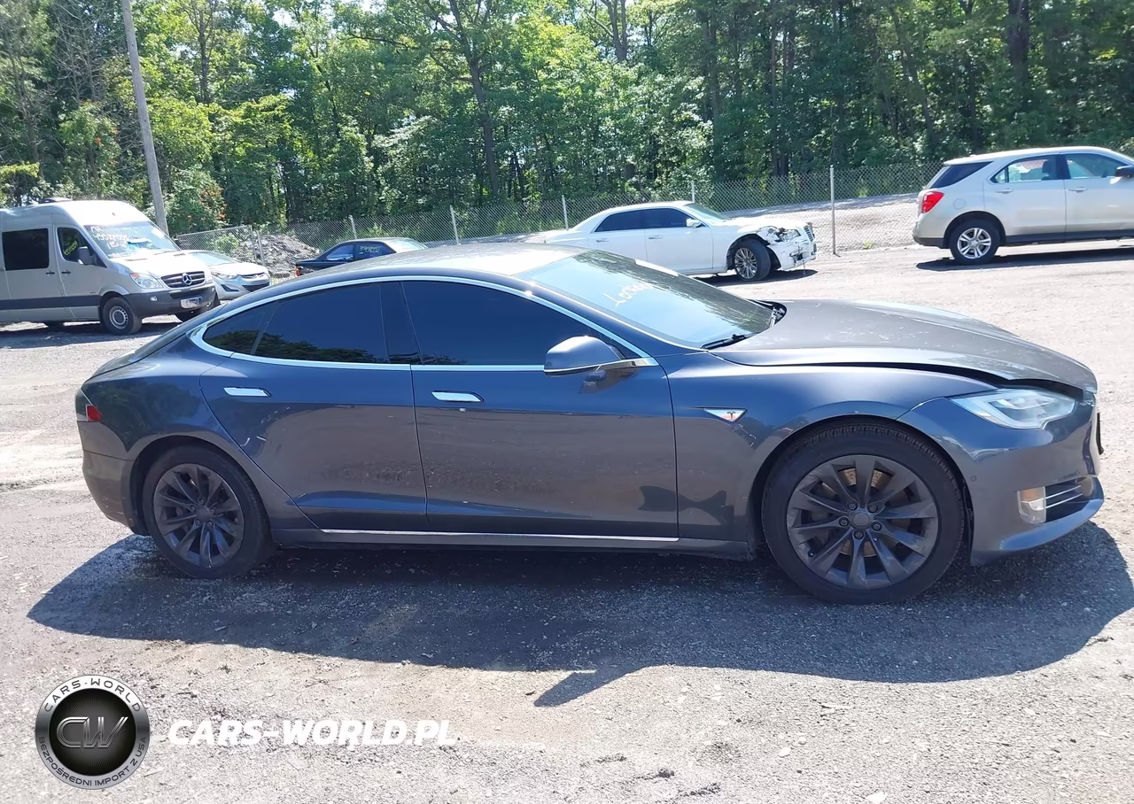 2016 Tesla Model S 60-70-75-85 VIN:5YJSA1E11GF139367 - 13