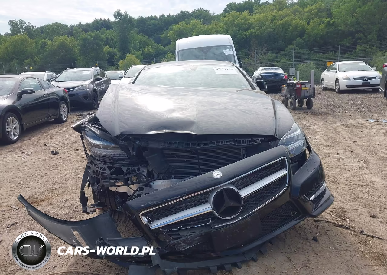 2014 Mercedes-Benz Cls 550 4Matic VIN:WDDLJ9BB7EA095287 - 12