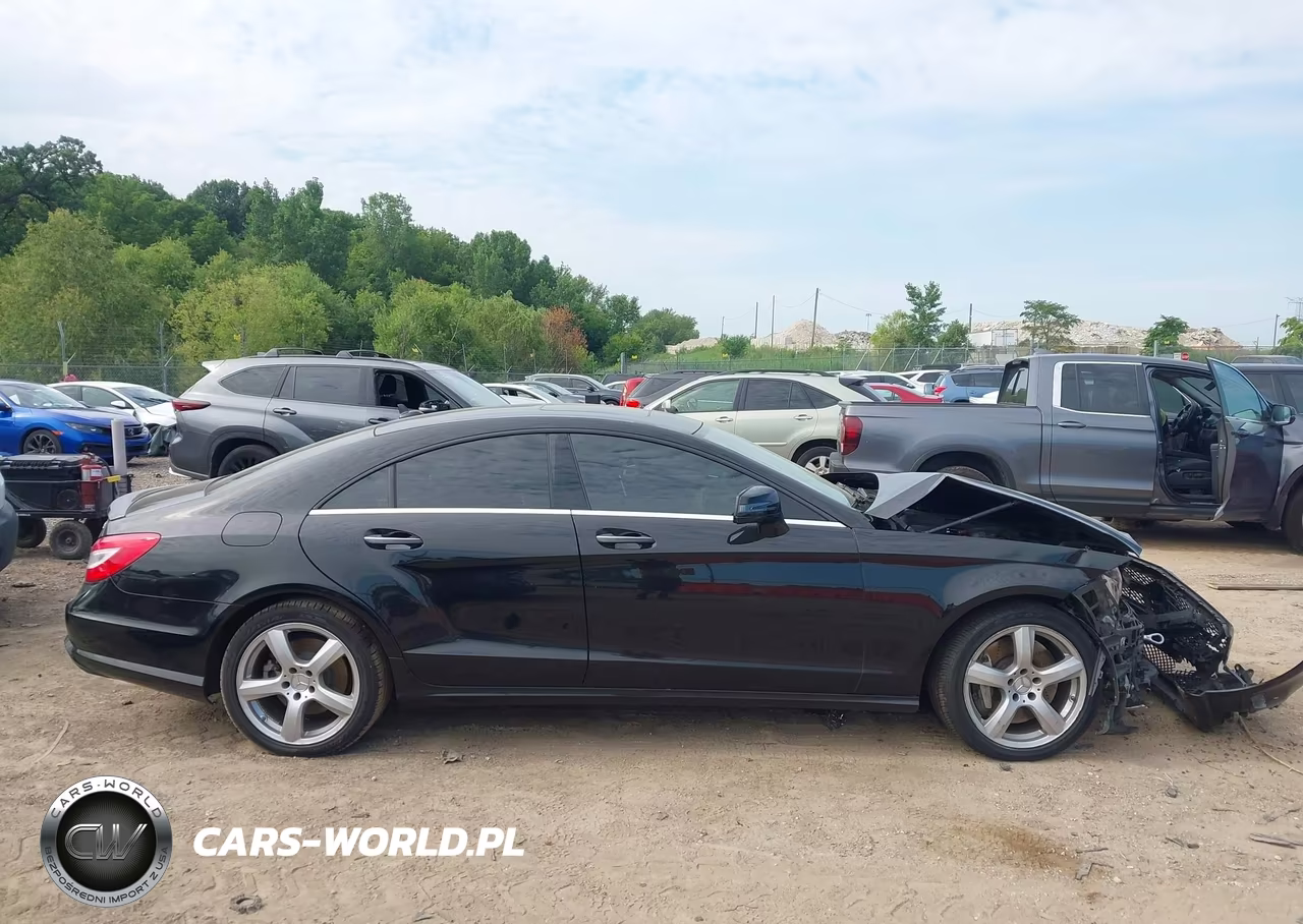 2014 Mercedes-Benz Cls 550 4Matic VIN:WDDLJ9BB7EA095287 - 13