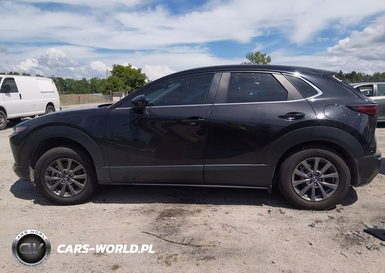2023 Mazda Cx-30 2.5 S VIN:3MVDMBAM6PM546956 - 14