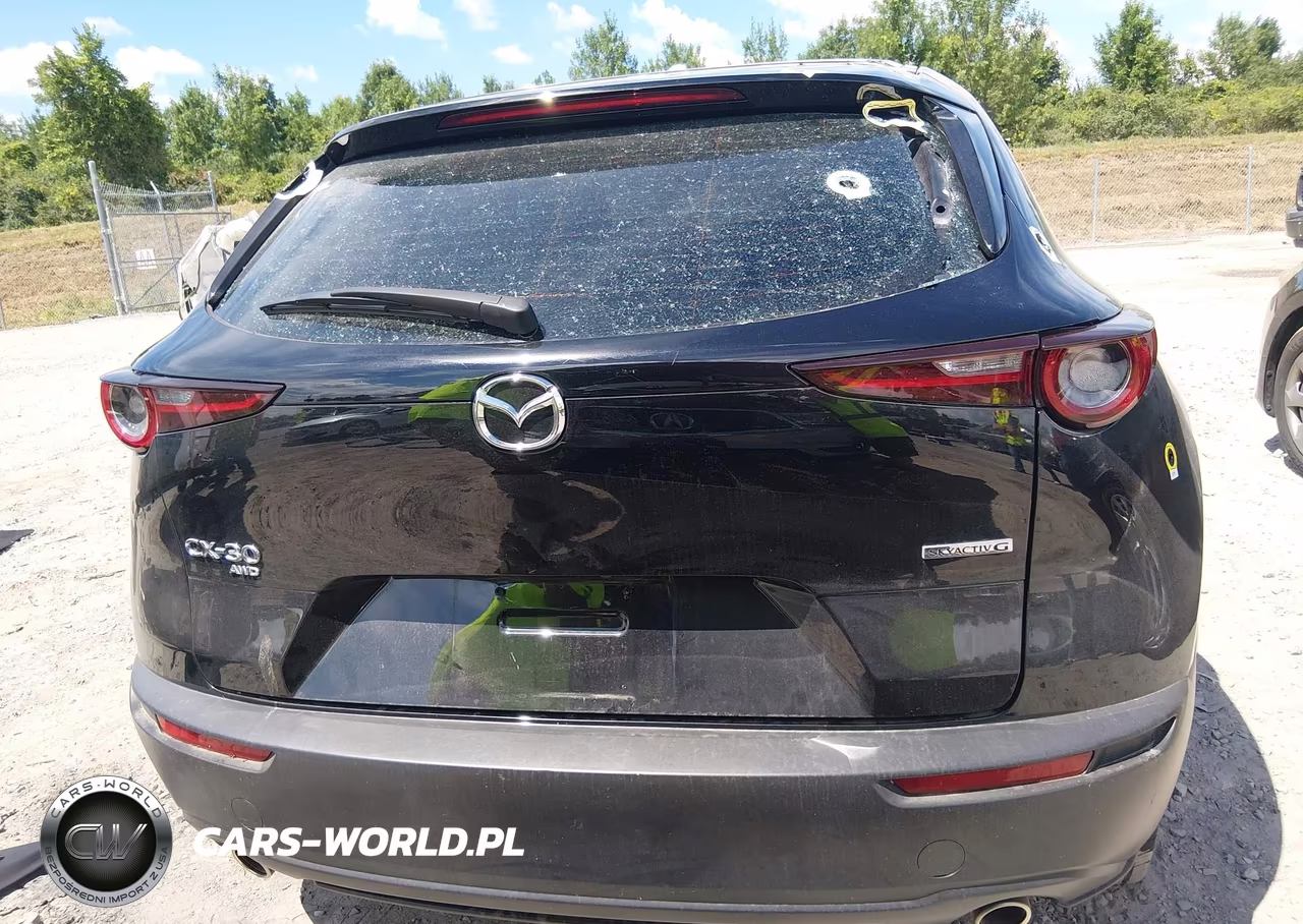 2023 Mazda Cx-30 2.5 S VIN:3MVDMBAM6PM546956 - 16