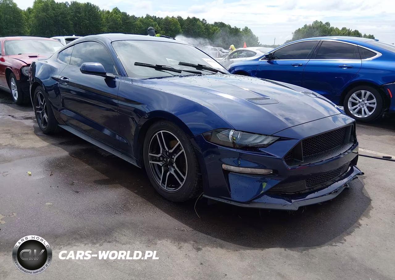2019 Ford Mustang Ecoboost