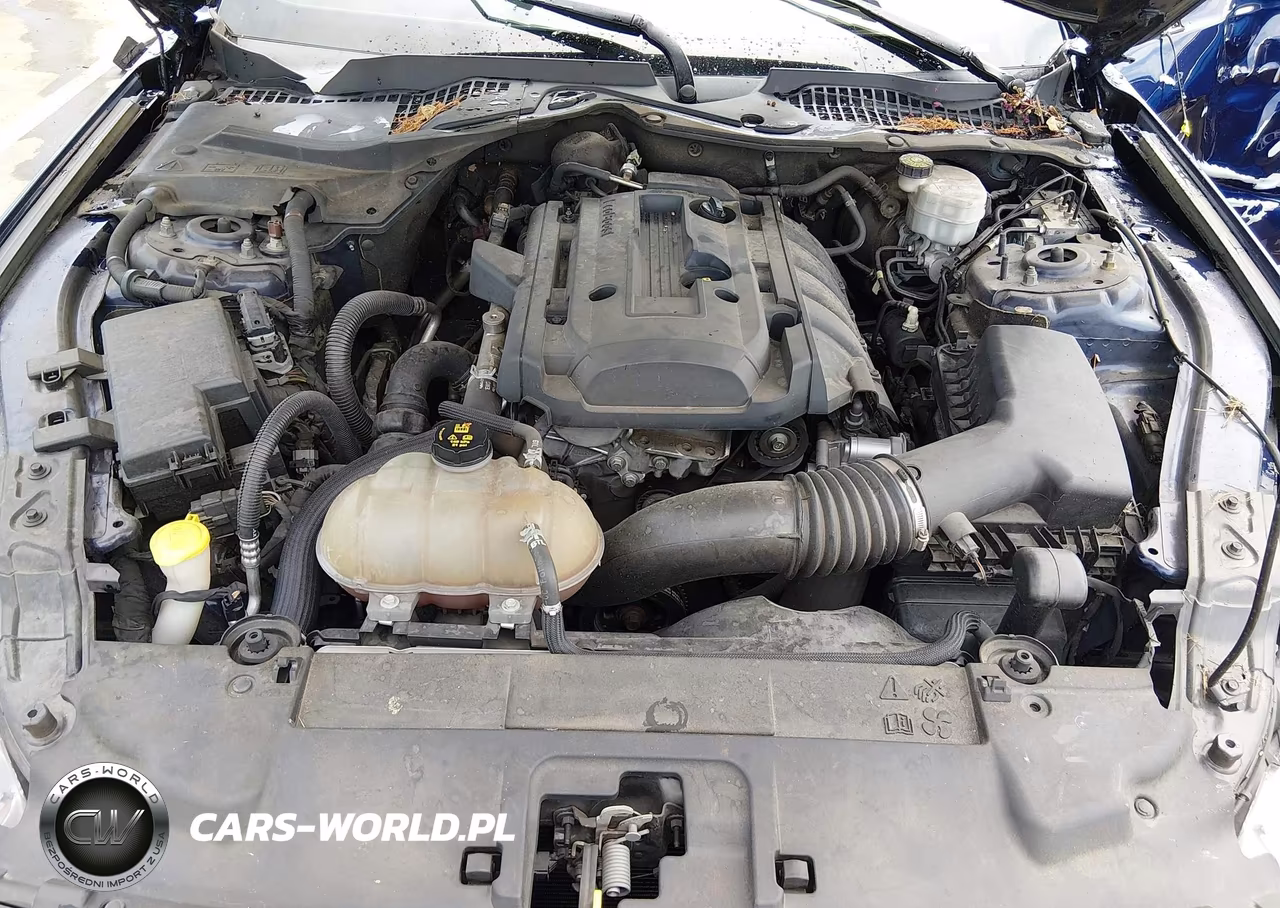2019 Ford Mustang Ecoboost VIN:1FA6P8TH9K5200652 - 10