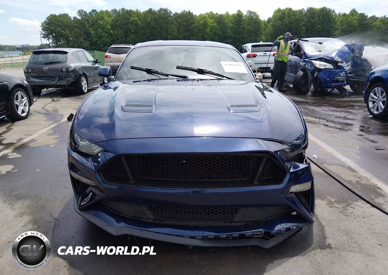 2019 Ford Mustang Ecoboost VIN:1FA6P8TH9K5200652 - 13