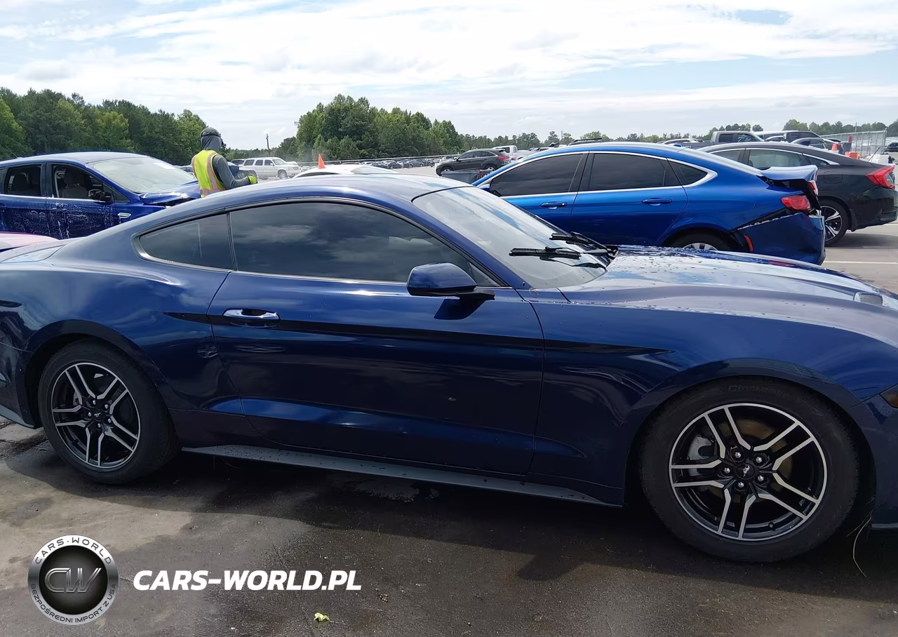 2019 Ford Mustang Ecoboost VIN:1FA6P8TH9K5200652 - 14