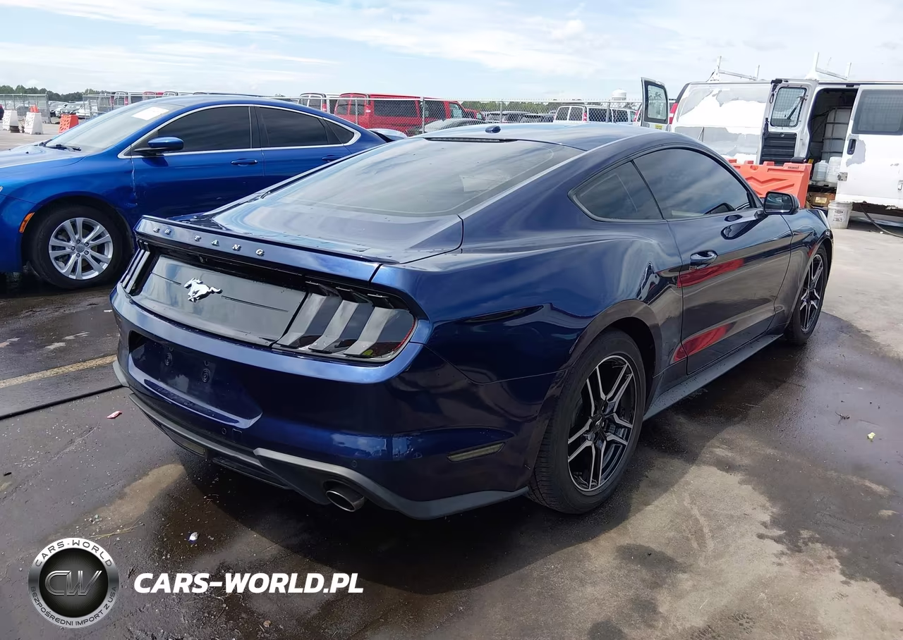 2019 Ford Mustang Ecoboost VIN:1FA6P8TH9K5200652 - 4