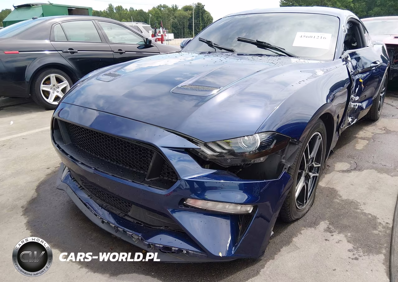 2019 Ford Mustang Ecoboost VIN:1FA6P8TH9K5200652 - 6