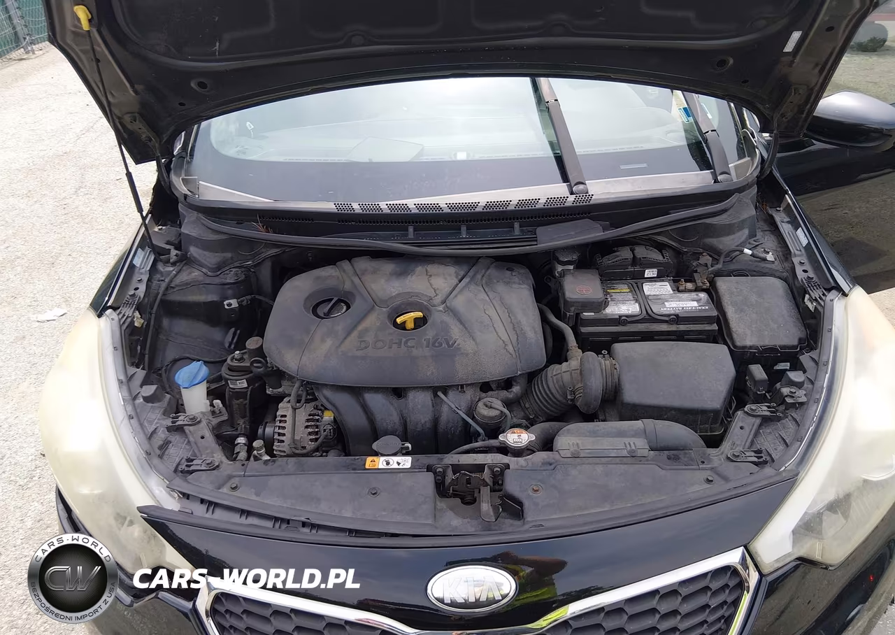 2014 Kia Forte Lx VIN:KNAFK4A69E5077021 - 10